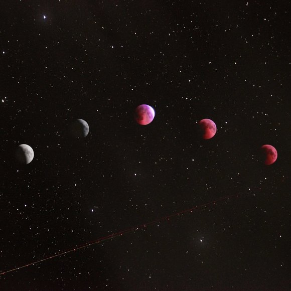 TEST - Picture 11 of 16